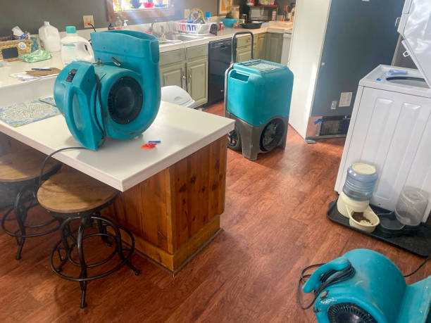 Best Residential water damage restoration  in Wescosville, PA