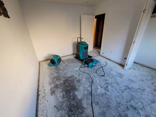 Best Water damage cleanup near me  in Wescosville, PA