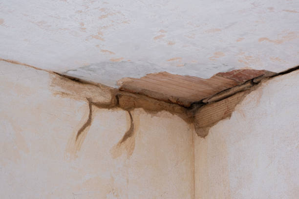 Best Water damage contractors near me  in Wescosville, PA