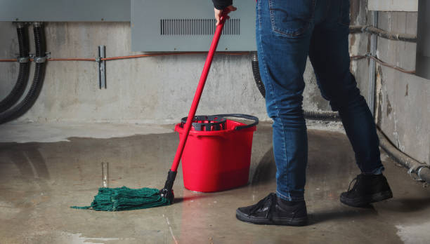 Best Flood restoration services  in Wescosville, PA