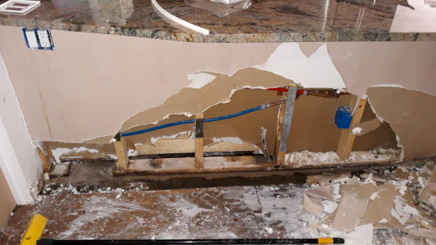 Best Water damage contractors near me  in Wescosville, PA