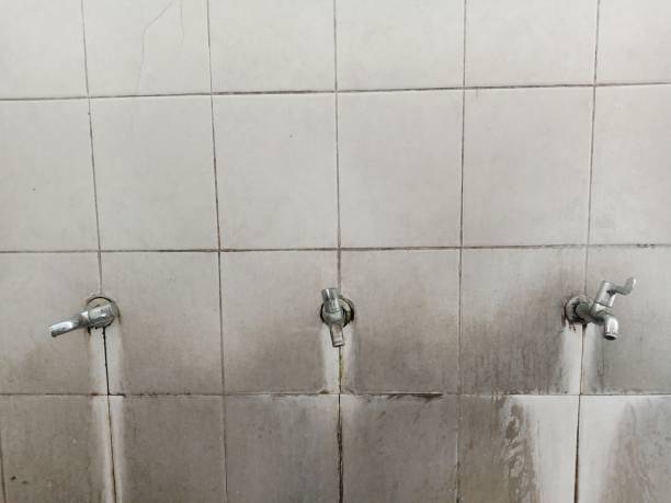  Wescosville, PA Water damage restoration Pros