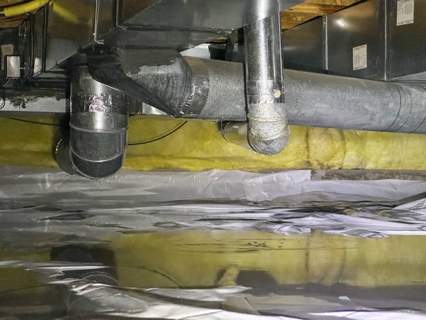 Best Sewage cleanup and water damage restoration  in Wescosville, PA