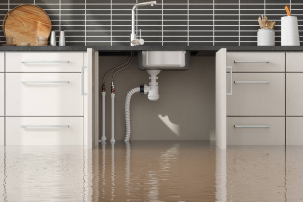 Best Ceiling water damage repair  in Wescosville, PA
