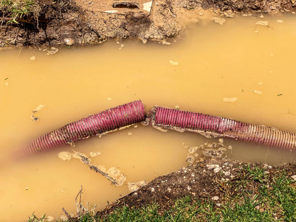 Best Local water damage restoration  in Wescosville, PA